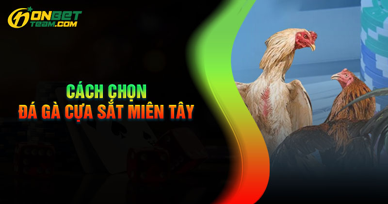 kinh-nghiem-chon-ga-cua-sat-mien-tay-toan-thang