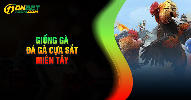 nhung-giong-ga-chien-cua-sat-mien-tay-lung-danh